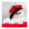 2019 Hot Sale lovely White Cat With Hat 5d Diy Diamond Painting Cross Stitch Kits