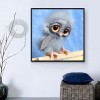 5D DIY Diamond Painting Kits Lovely Naughty Cartoon Grey Owl