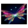 5D DIY Diamond Painting Kits Dream Special Shine Butterfly