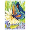 5D DIY Diamond Painting Kits Dream Special Butterfly Flowers