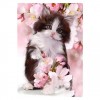 2019 New Oil Painting Style Cat 5d Diy Cross Stitch Diamond Painting Kits