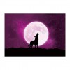 5D DIY Diamond Painting Kits Dream Moon Wolf Starry Sky