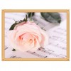 5D DIY Diamond Painting Kits Pretty Pink Rose