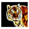 5D DIY Diamond Painting Kits Colorful Artistic Shine Tiger