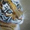 5d Diy Diamond Painting Kits Tiger