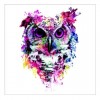 5D DIY Diamond Painting Kits Cartoon Pretty Colorful Owl