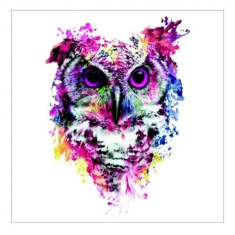 5D DIY Diamond Painting Kits Cartoon Pretty Colorful Owl