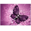 5D DIY Diamond Painting Kits Dream Beautiful Butterfly