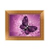 5D DIY Diamond Painting Kits Dream Beautiful Butterfly