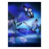 5D DIY Diamond Painting Kits Dream Crystal Butterfly Flowers