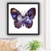 5D DIY Diamond Painting Kits Fantastic Beautiful Butterfly