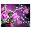 5D DIY Diamond Painting Kits Dream Shine Flower Butterfly