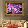 5D DIY Diamond Painting Kits Dream Shine Flower Butterfly