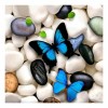 2019 New Wall Decoration Blue Butterflys 5d Diy Diamond Painting Kits