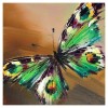 5D DIY Diamond Painting Kits Cartoon Colorful Butterfly