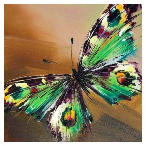 5D DIY Diamond Painting Kits Cartoon Colorful Butterfly