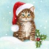 5D DIY Diamond Painting Kits Cartoon Cute Kitten Wearing Christmas Hat