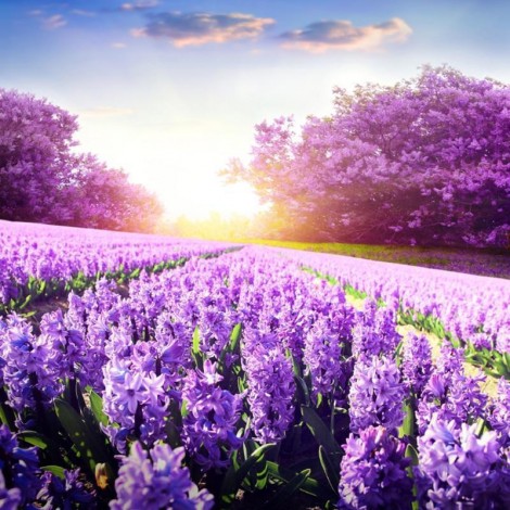 2019 New Hot Sale Lavender Fields Picture 5d Diamond Painting Kits