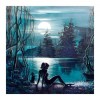 5D DIY Diamond Painting Kits Dream Moon Scene Beauty