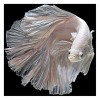 5D DIY Diamond Painting Kits Beautiful Pink Fish