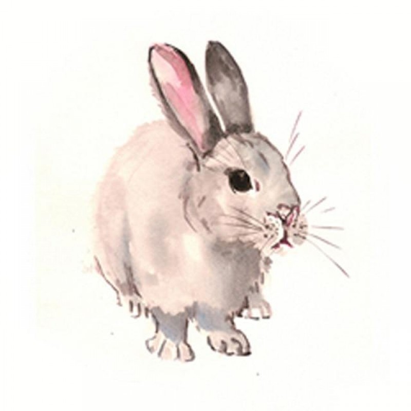 RMSGOZO DIY Vintage Floral White Rabbit Diamond Painting 20X20 Inch -  Easter Diamond Painting Kits for Adults & Children, Full Circle Diamond  Dots Art