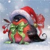 5D DIY Diamond Painting Kits Winter Christmas Snow Bird