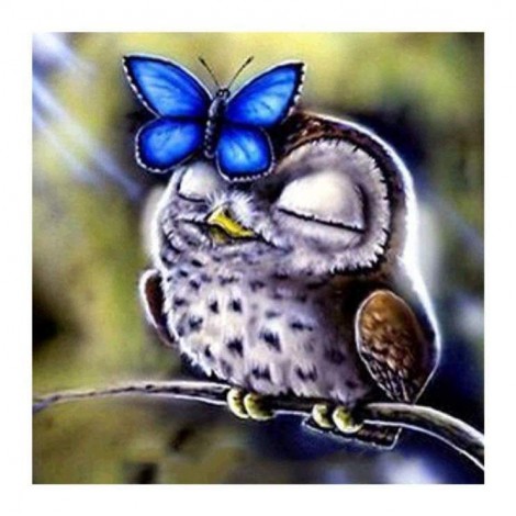 5D DIY Diamond Painting Kits Cartoon Lovely Butterfly and Owl